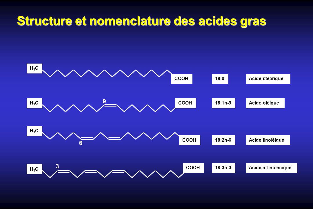 Acides Gras Om ga 3 et Sant ppt video online t l charger